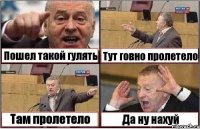 Пошел такой гулять Тут говно пролетело Там пролетело Да ну нахуй