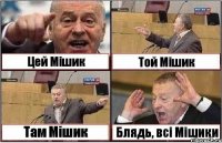 Цей Мішик Той Мішик Там Мішик Блядь, всі Мішики