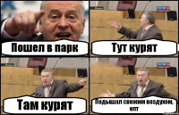 Пошел в парк Тут курят Там курят Подышал свежим воздухом, епт