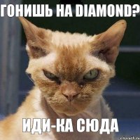 Гонишь на Diamond? Иди-ка сюда