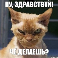 Ну, здравствуй! Чё делаешь?