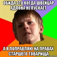 Обида это когда швейцар адлона не пускает а я поправляю на правах старшего товарища