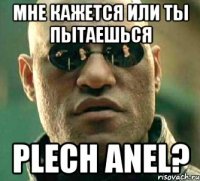 Мне кажется или ты пытаешься plech anel?