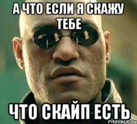 а что если я скажу тебе что скайп есть