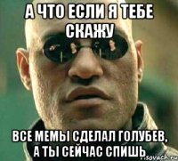 А что если я тебе скажу Все мемы сделал Голубев, а ты сейчас спишь