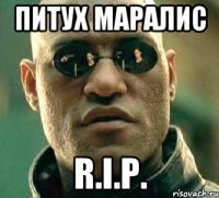 ПИТУХ МАРАЛИС R.I.P.