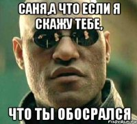 Саня,а что если я скажу тебе, что ты обосрался