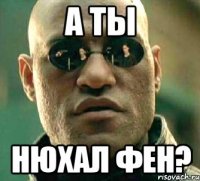 А ТЫ НЮХАЛ ФЕН?