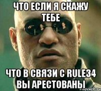 Что если я скажу тебе Что в связи с Rule34 вы арестованы