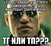 У тебя есть выбор, от которого зависит всё... что ты выберешь?! Добро или зло? ТГ или ТП???