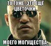 то тоже , это ещё цветочки , моего могущества .