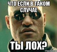 ЧТО если в таком случае Ты лох?