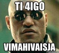 ti 4igo vimahivaisja