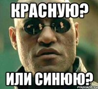 красную? или синюю?