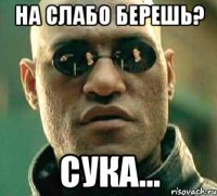 На слабо берешь? сука...