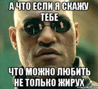 а что если я скажу тебе что можно любить не только жирух