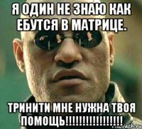 я один не знаю как ебутся в матрице. ТРИНИТИ мне нужна твоя помощь!!!!!!!!!!!!!!!!!