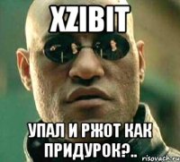 Xzibit Упал и ржот как придурок?..