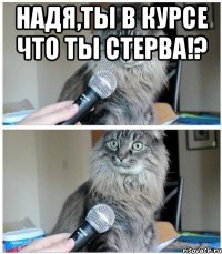 Надя,ты в курсе что ты стерва!? 