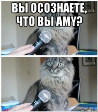 Вы осознаете, что Вы Amy? 