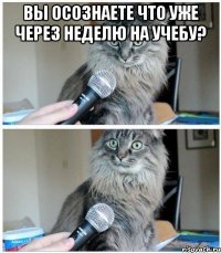 Вы осознаете что уже через неделю на учебу? 