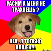 Расим а меня не трахнешь ? Неа , я только кошек!!!