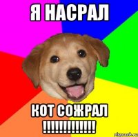 Я насрал кот сожрал !!!!!!!!!!!!!