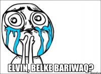  Elvin, belke bariwaq?