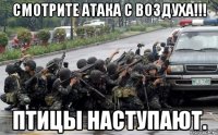 Смотрите атака с воздуха!!! Птицы наступают.