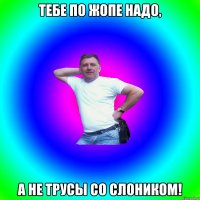 тебе по жопе надо, а не трусы со слоником!