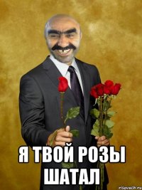  Я твой розы шатал