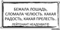 Бежала лошадь, сломала челюсть. какая радость, какая прелесть.. Лейтенант Неадекват©