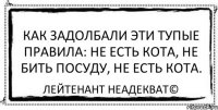 Как задолбали эти тупые правила: не есть кота, не бить посуду, не есть кота. Лейтенант Неадекват©