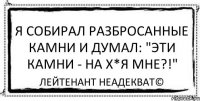 Я собирал разбросанные камни и думал: "Эти камни - на х*я мне?!" Лейтенант Неадекват©