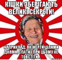 Кішки зберігають великі секрети! Наприклад, як жерти цілими днями, спати і при цьому не товстіти ...