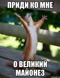приди ко мне о великий майонез