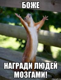 Боже Награди людей мозгами!