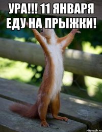 Ура!!! 11 января еду на прыжки! 