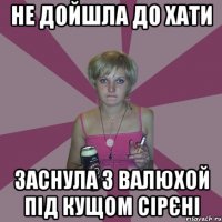 не дойшла до хати заснула з валюхой під кущом сірєні