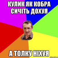 Кулик як кобра сичіть дохуя а толку ніхуя