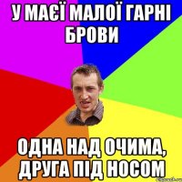 У маєї малої гарні брови Одна над очима, друга під носом