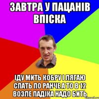 завтра у пацанів впіска іду мить кобру і лягаю спать по ранче а то в 12 возле падіка надо бить