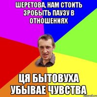 Шеретова, нам стоить зробыть паузу в отношениях ця бытовуха убывае чувства