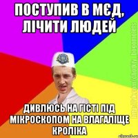 поступив в мєд, лічити людей дивлюсь на гісті під мікроскопом на влагаліще кроліка