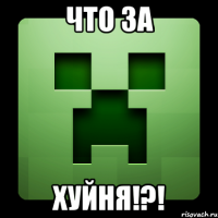 что за ХУЙНЯ!?!