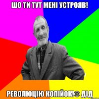 Шо ти тут мені устрояв! Революцію копійок!© Дід