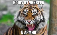 кошу от универа в армии