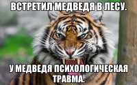 Встретил медведя в лесу. У медведя психологическая травма.