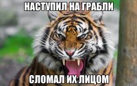 наступил на грабли сломал их лицом