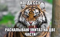 Когда ссу Раскалываю унитаз на две части